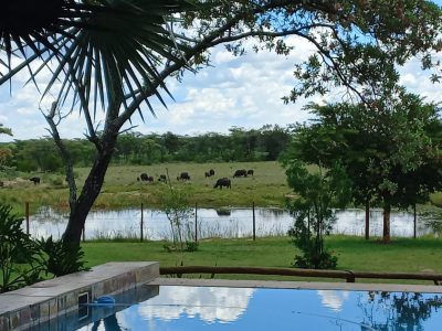 Blinkwater Hunting Safaris - Lodge_Deck