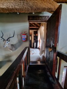 Blinkwater Hunting Safaris - Lodge_Room 1 (Blesbuck)